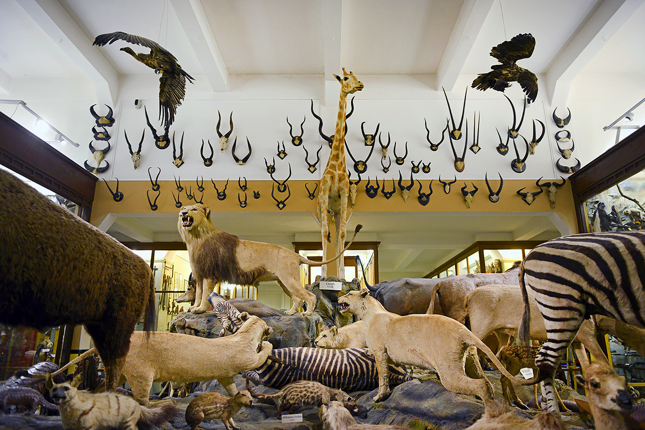 missiemuseum steyl 5-2022 2390