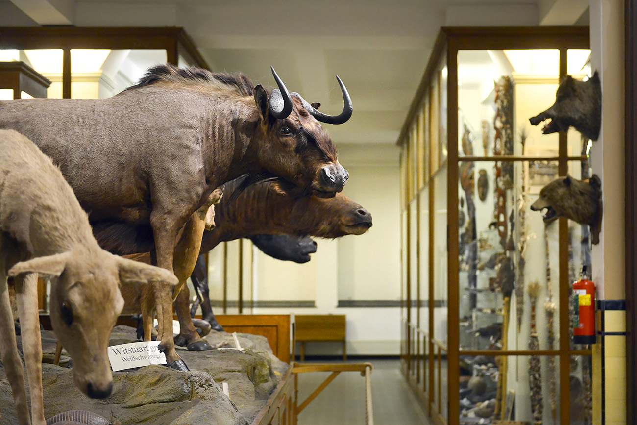 missiemuseum steyl 5-2022 2461