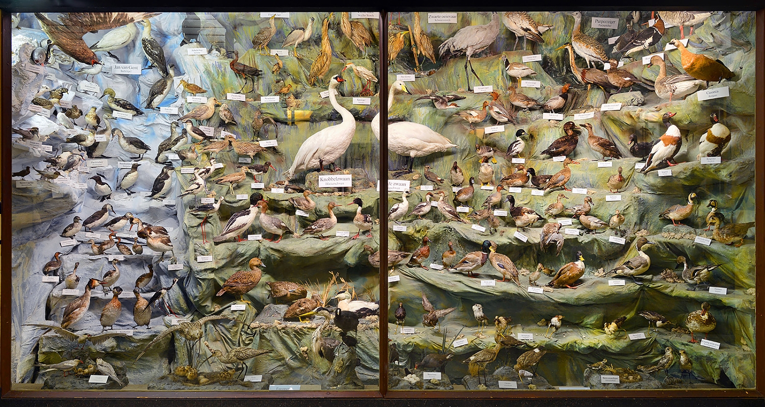 missiemuseum steyl 5-2022 3032-3031v2