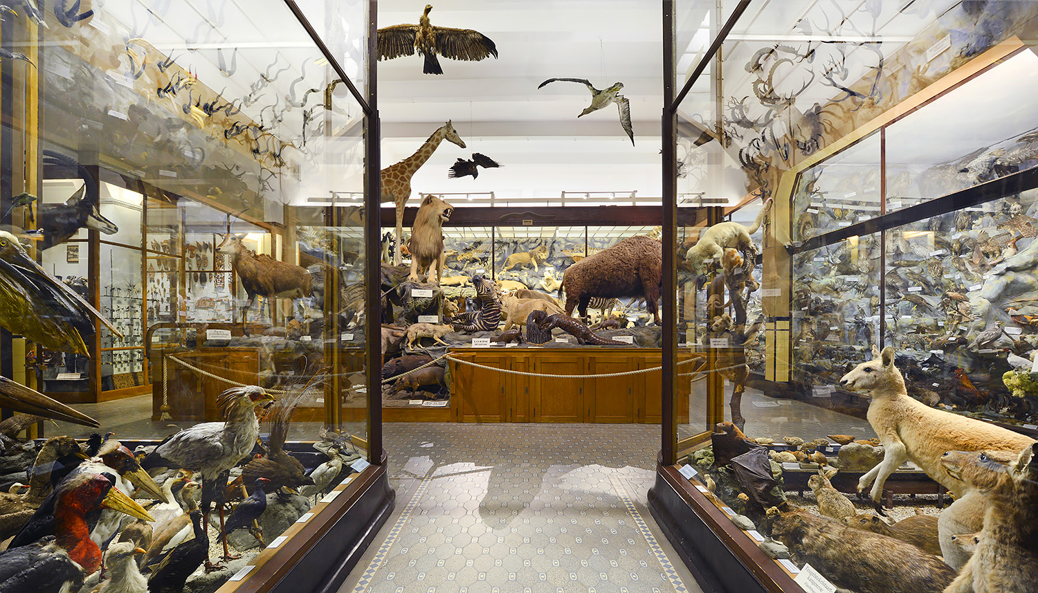 missiemuseum steyl 5-2022 3039v5