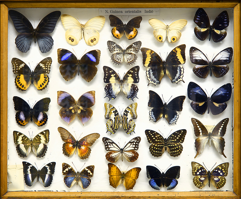 missiemuseum steyl 5-2022 3220