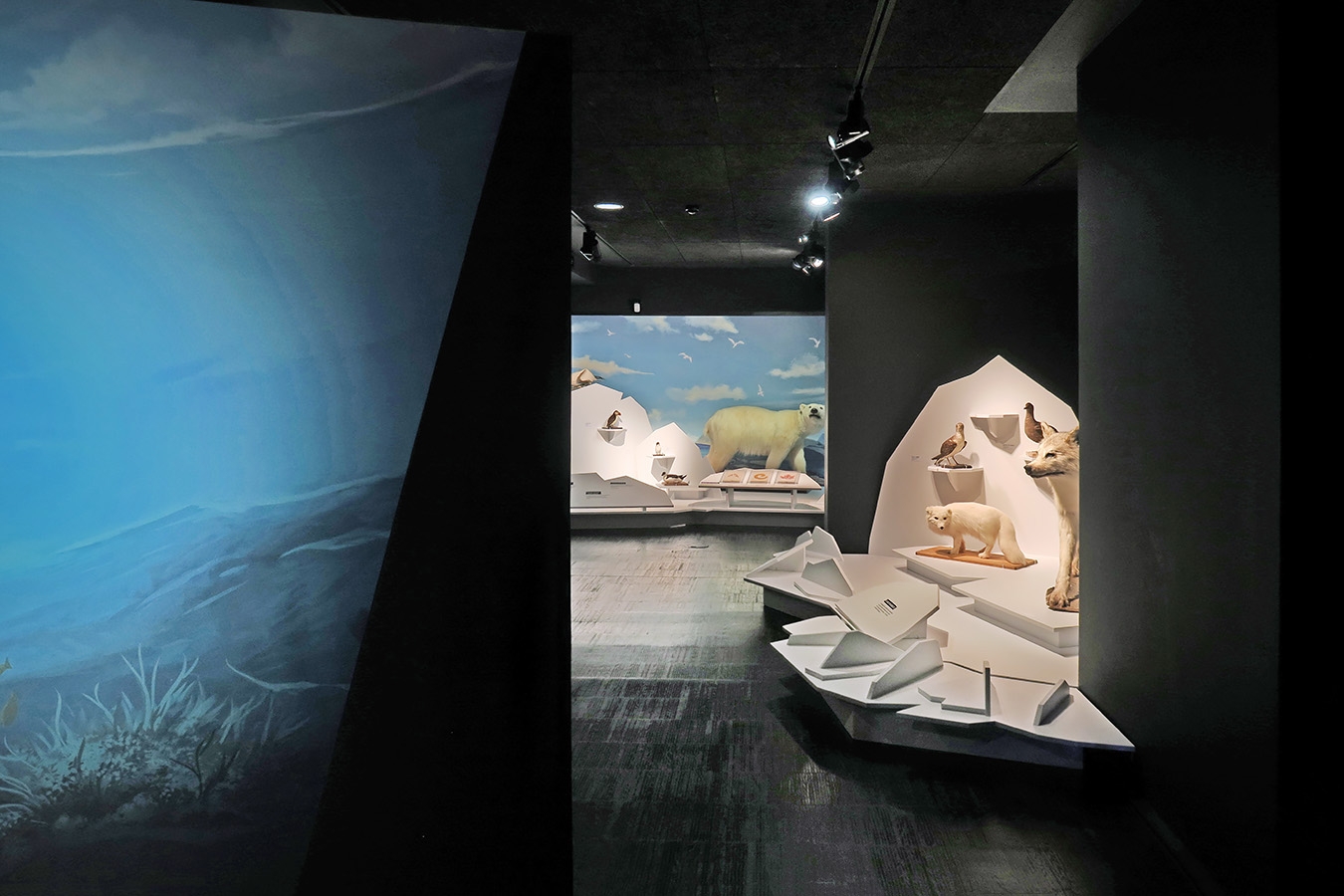 mobe orleans 8-2025 2556