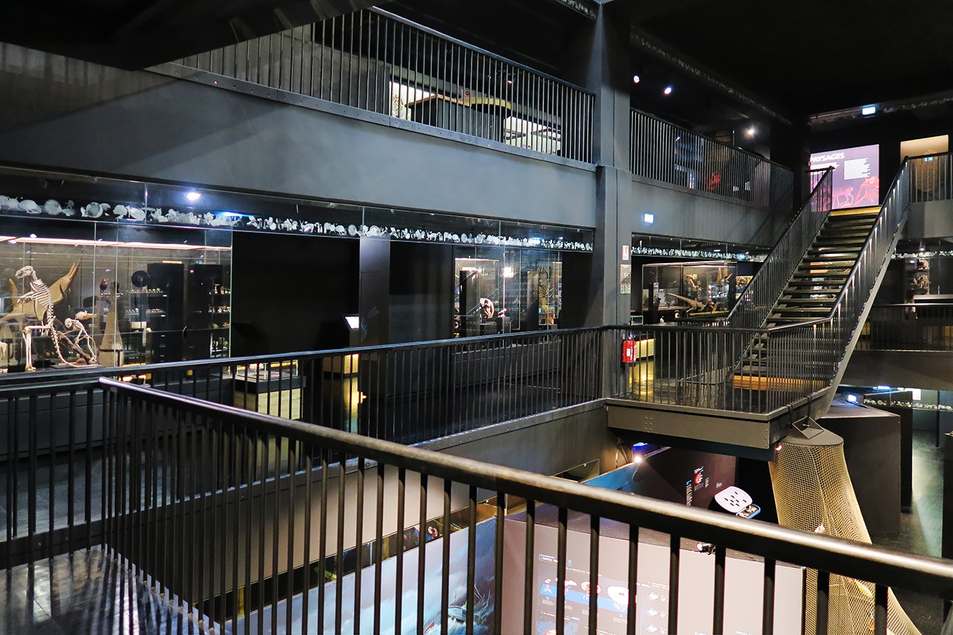 mobe orleans 8-2025 2572