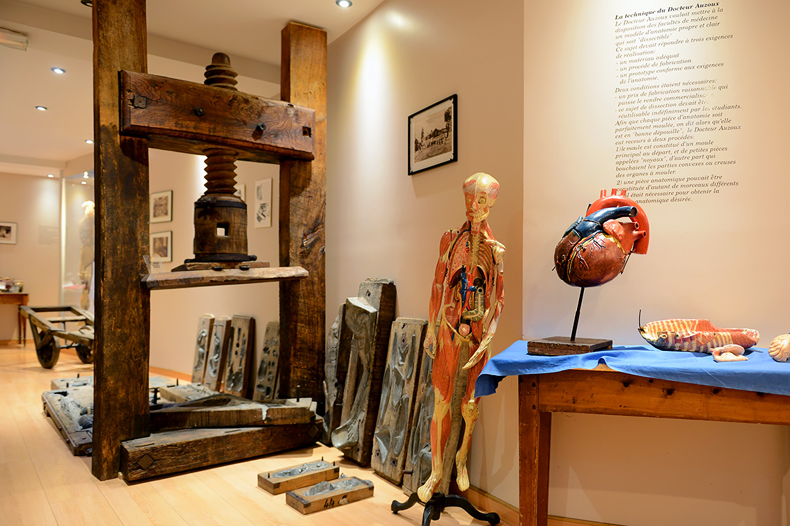 musee des ecorches de anatomie neubourg 10-2021 0384