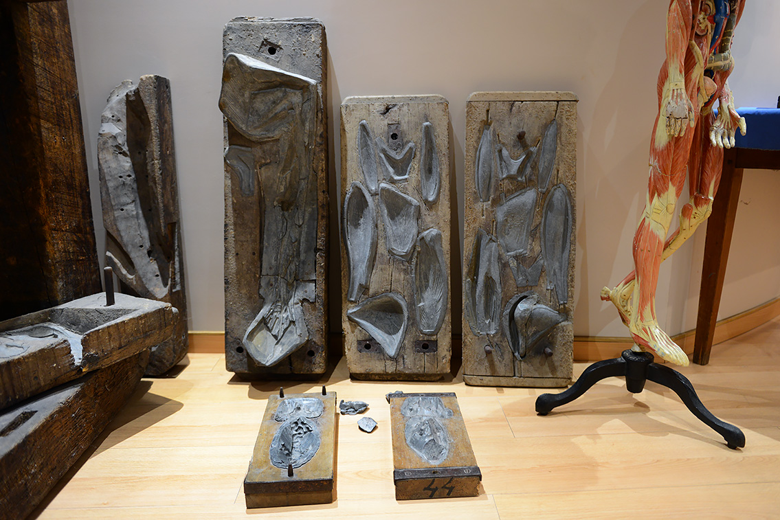 musee des ecorches de anatomie neubourg 10-2021 0393