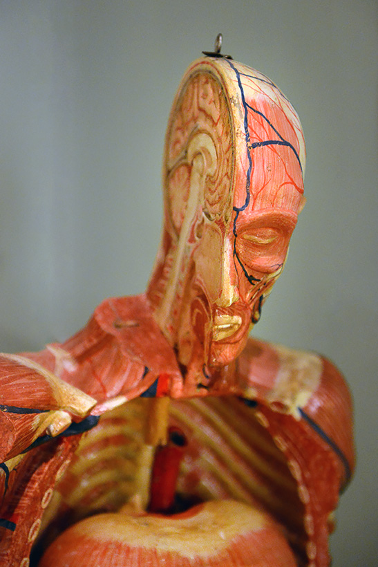 musee flaubert et de histoire de la medicine rouen 10-2021 0371