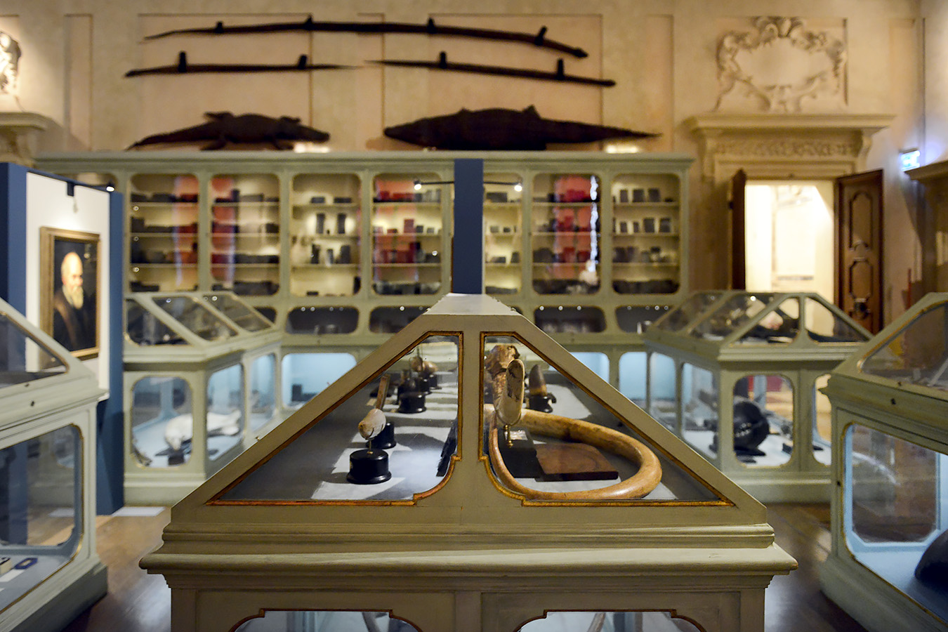 museo di storia naturale bologna 8-2022 3990