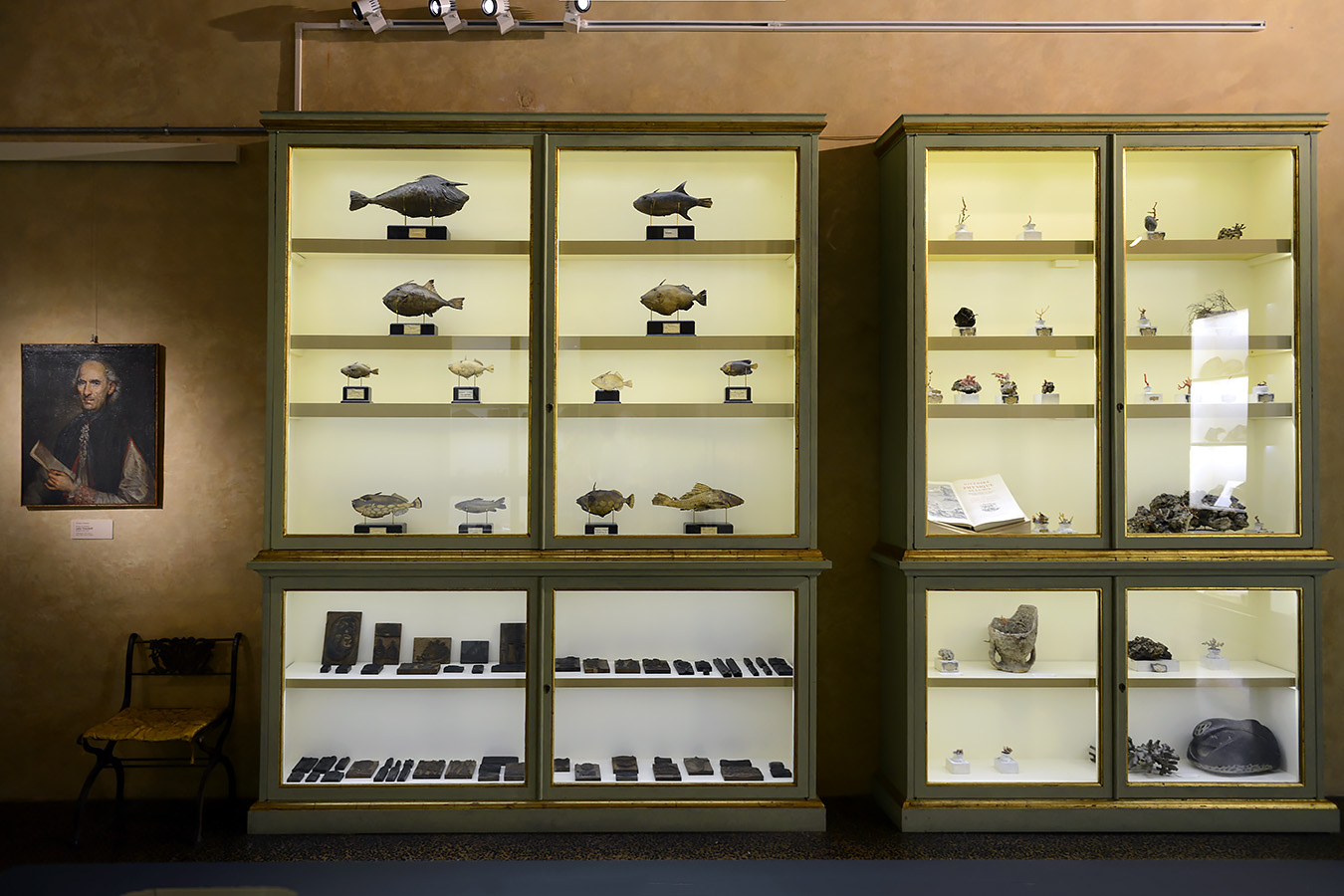 museo di storia naturale bologna 8-2022 3997