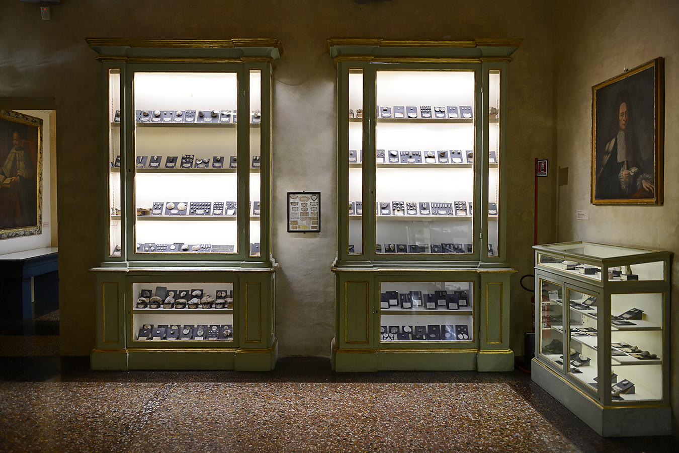 museo di storia naturale bologna 8-2022 4005