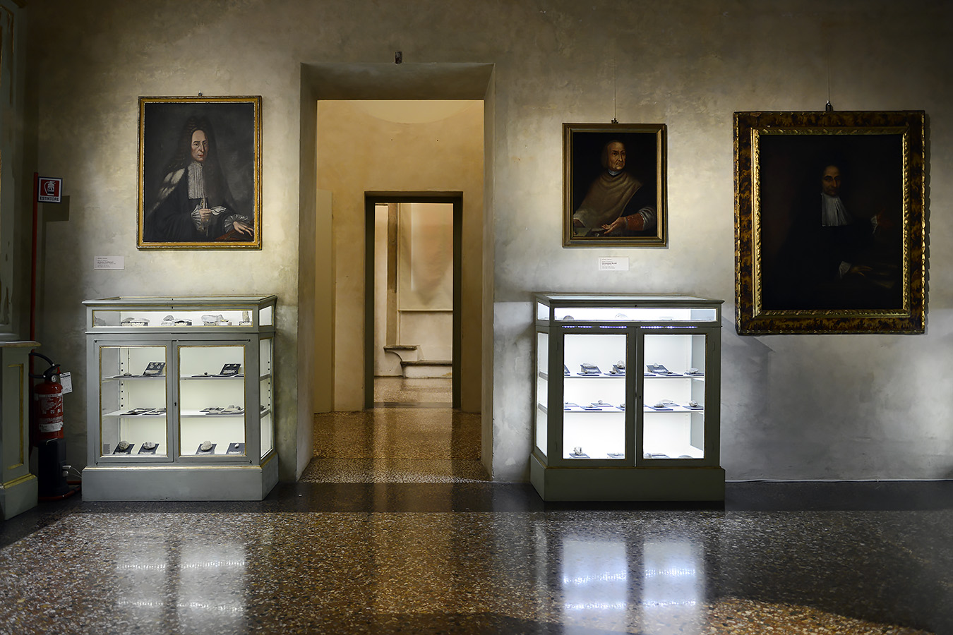 museo di storia naturale bologna 8-2022 4011