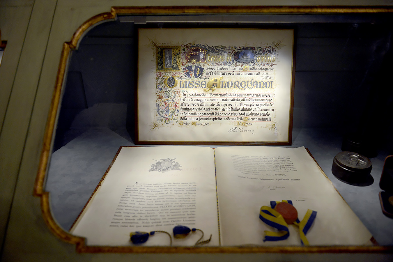 museo di storia naturale bologna 8-2022 4710