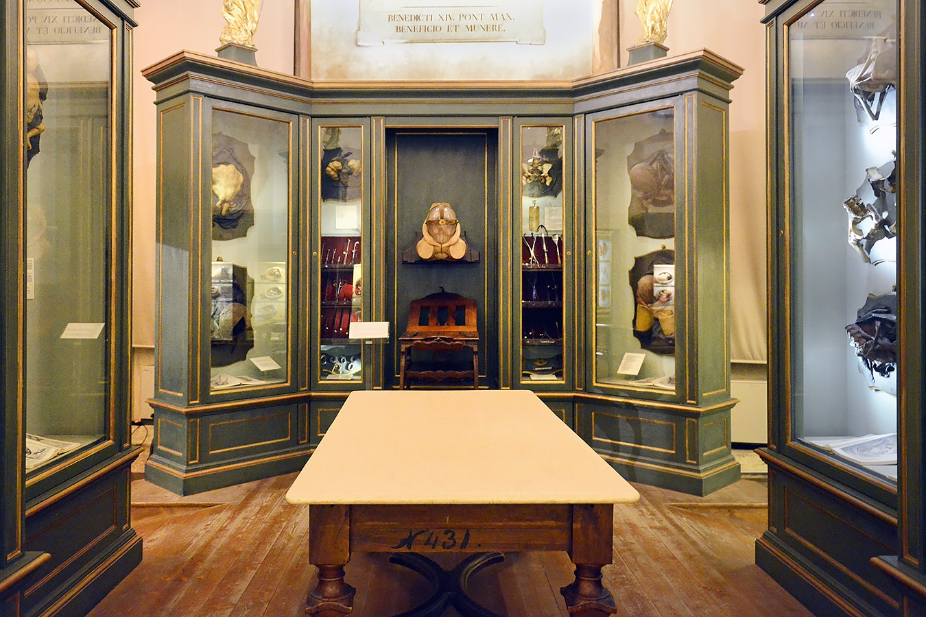 museo ostetrico giovan antonio galli bologna 8-2022 4021