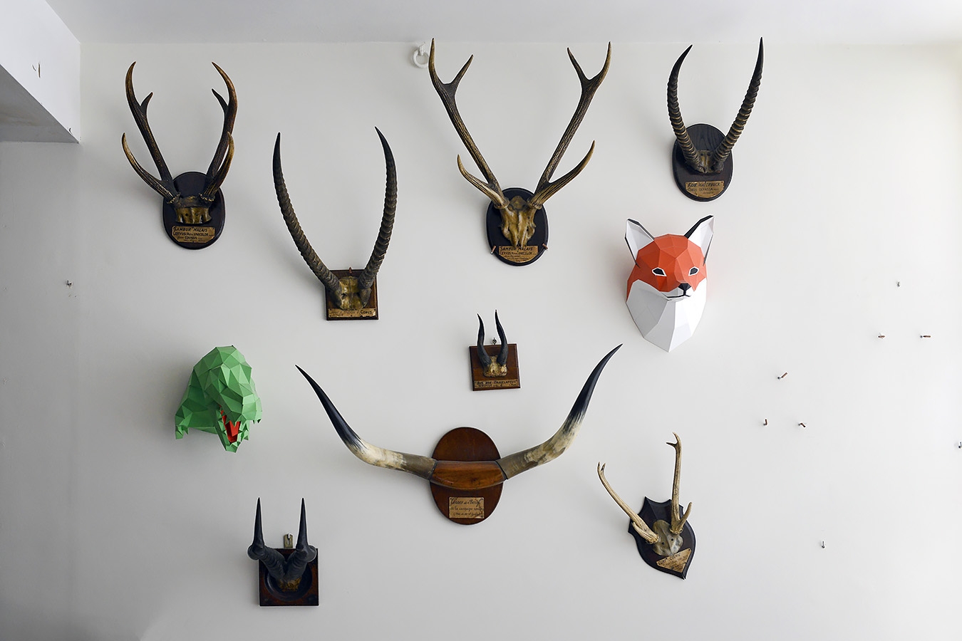 museum aquarium de nancy 8-2022 3866