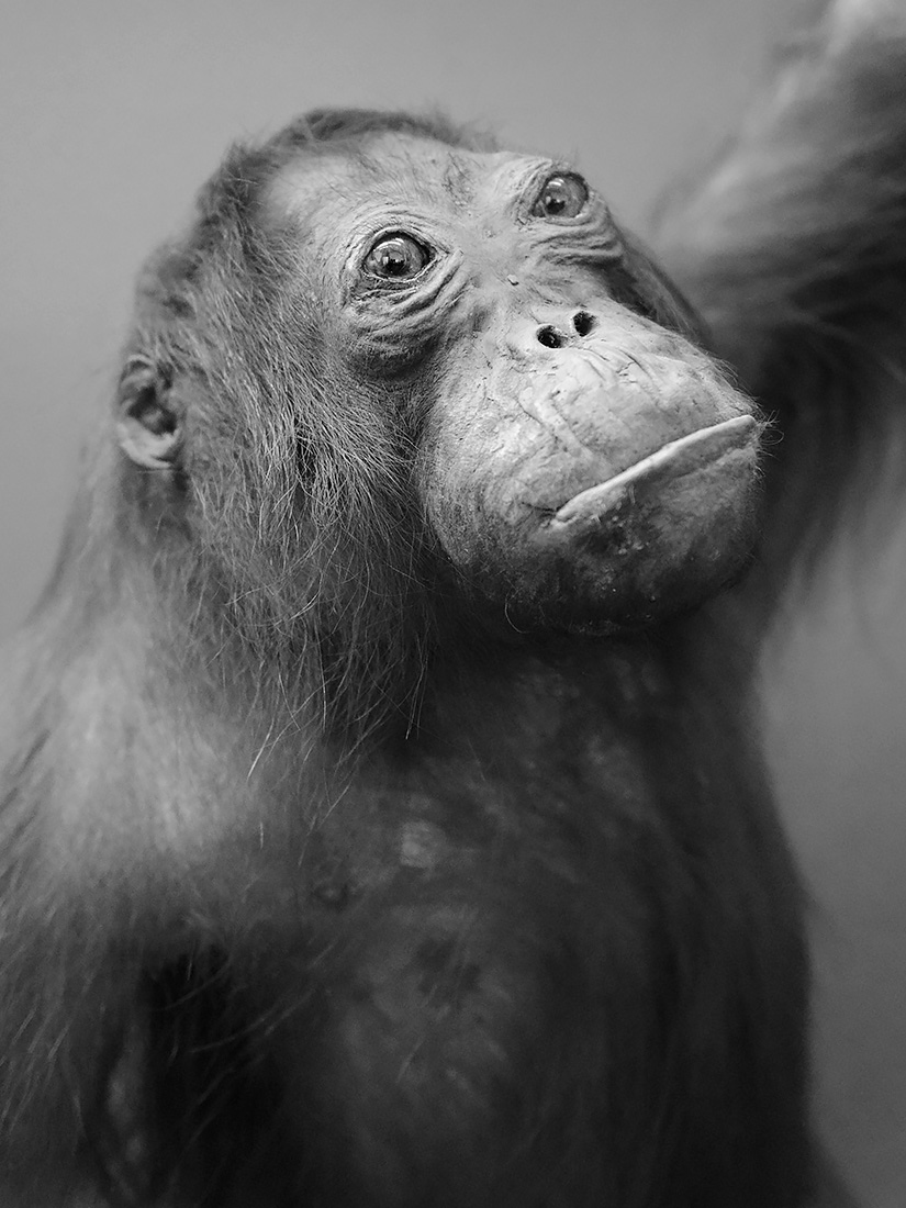 museum aquarium de nancy 8-20223 3830-