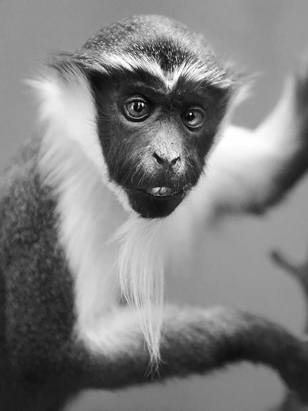 museum aquarium de nancy 8-20223 3882-