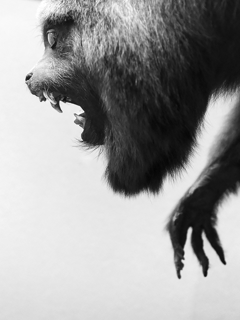 museum aquarium de nancy 8-20223 3885-