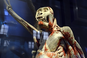 museum boerhaave 3-2022 1248