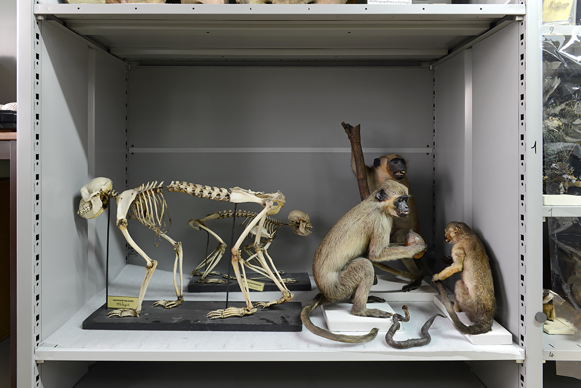 museum de histoire naturelle rouen 10-2021 0187