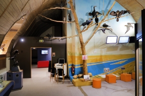 museum dhistoire naturelle blois 8-2025 2246