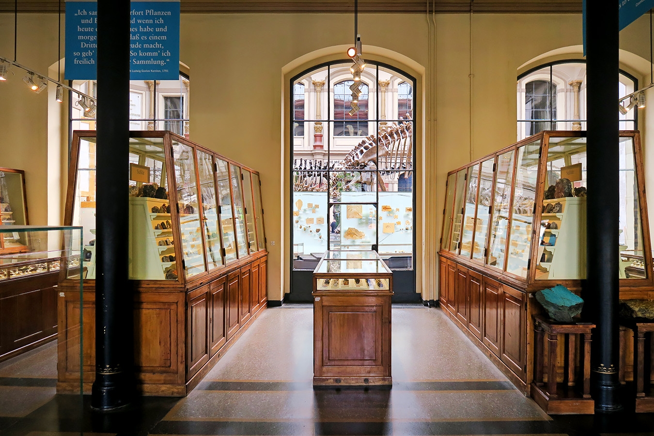 museum fur naturkunde berlin 5-2025 1240