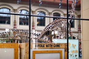 museum fur naturkunde berlin 5-2025 1242