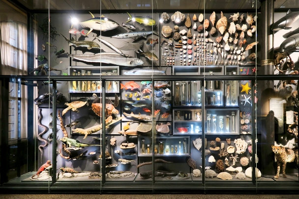 museum fur naturkunde berlin 5-2025 1295