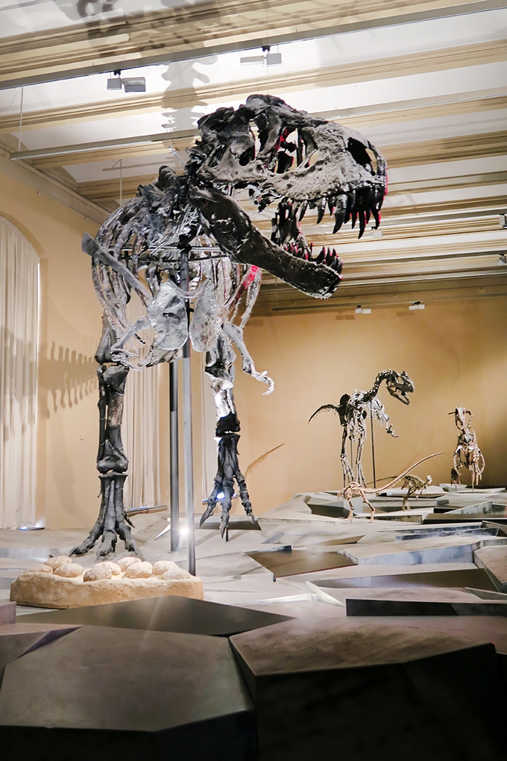 museum fur naturkunde berlin 5-2025 1343