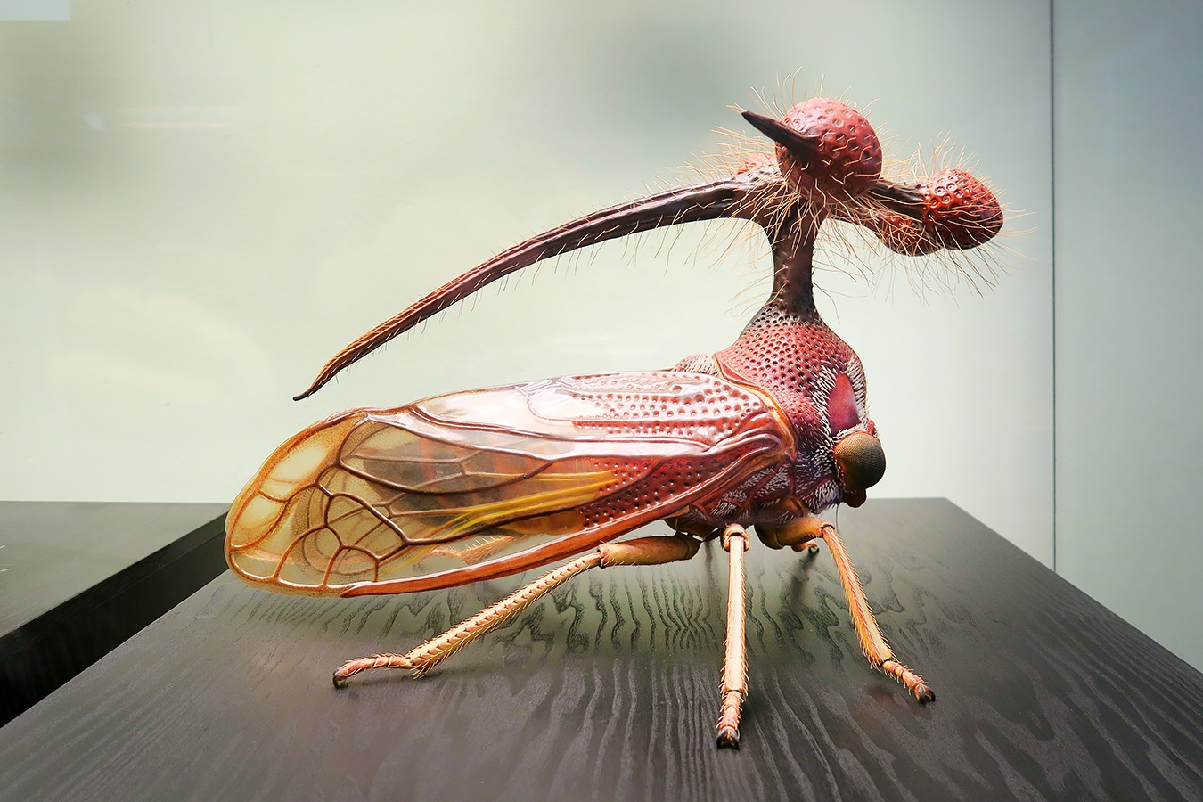 museum fur naturkunde berlin 5-2025 1371