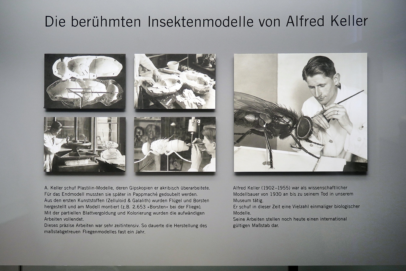 museum fur naturkunde berlin 5-2025 1377