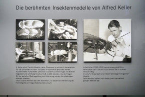 museum fur naturkunde berlin 5-2025 1377