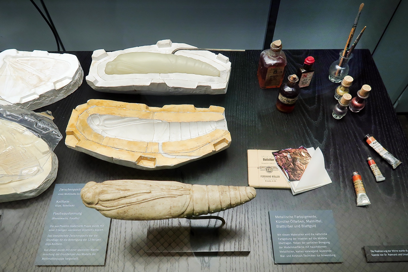 museum fur naturkunde berlin 5-2025 1378