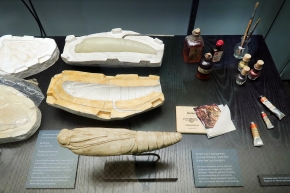 museum fur naturkunde berlin 5-2025 1378