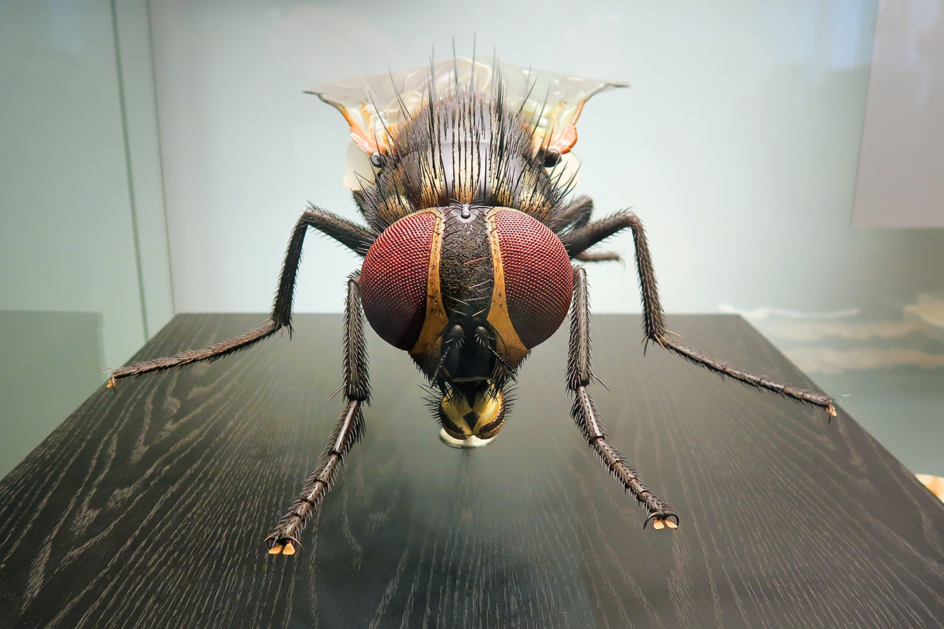 museum fur naturkunde berlin 5-2025 1383