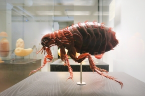 museum fur naturkunde berlin 5-2025 1384