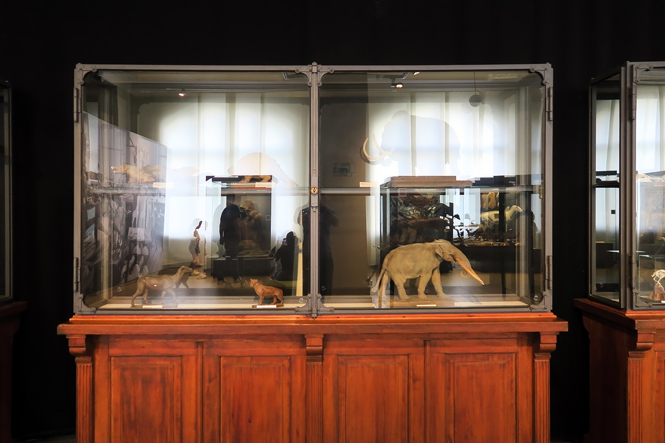 museum fur naturkunde berlin 5-2025 1424