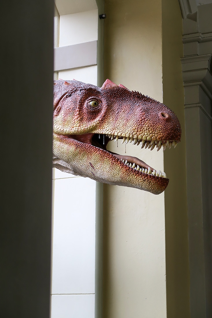 museum fur naturkunde berlin 5-2025 1497