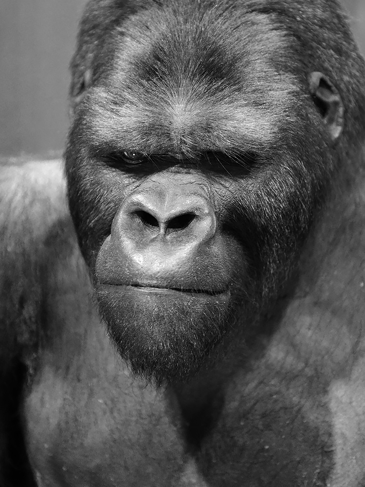 museum voor natuurwetenschappen brussel 11-2022 5512