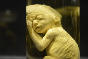 museum voor natuurwetenschappen brussel 11-2022 5588