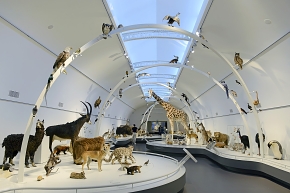 museum voor natuurwetenschappen brussel 11-2022 5619