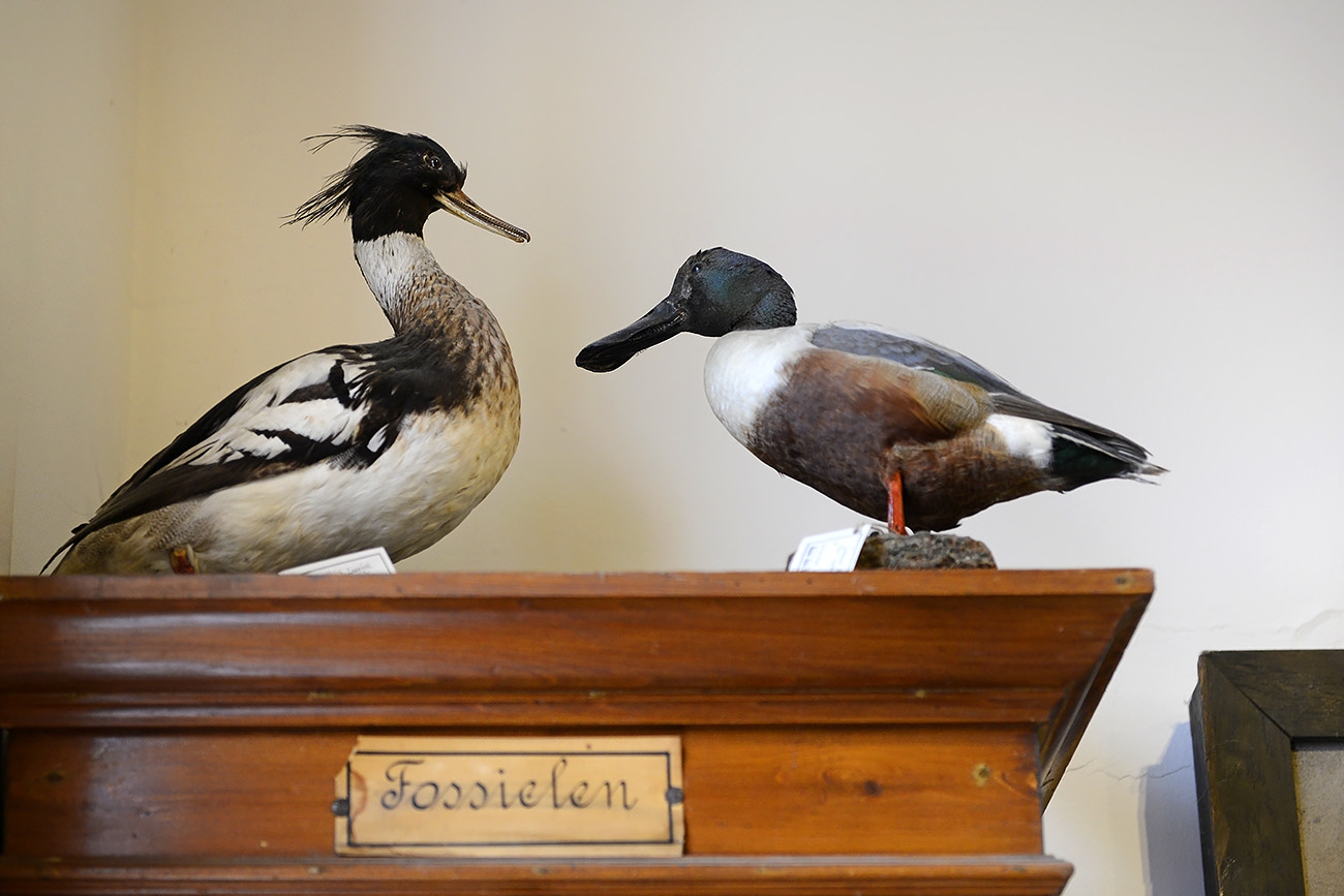 natura docet denekamp 4-2022 2218