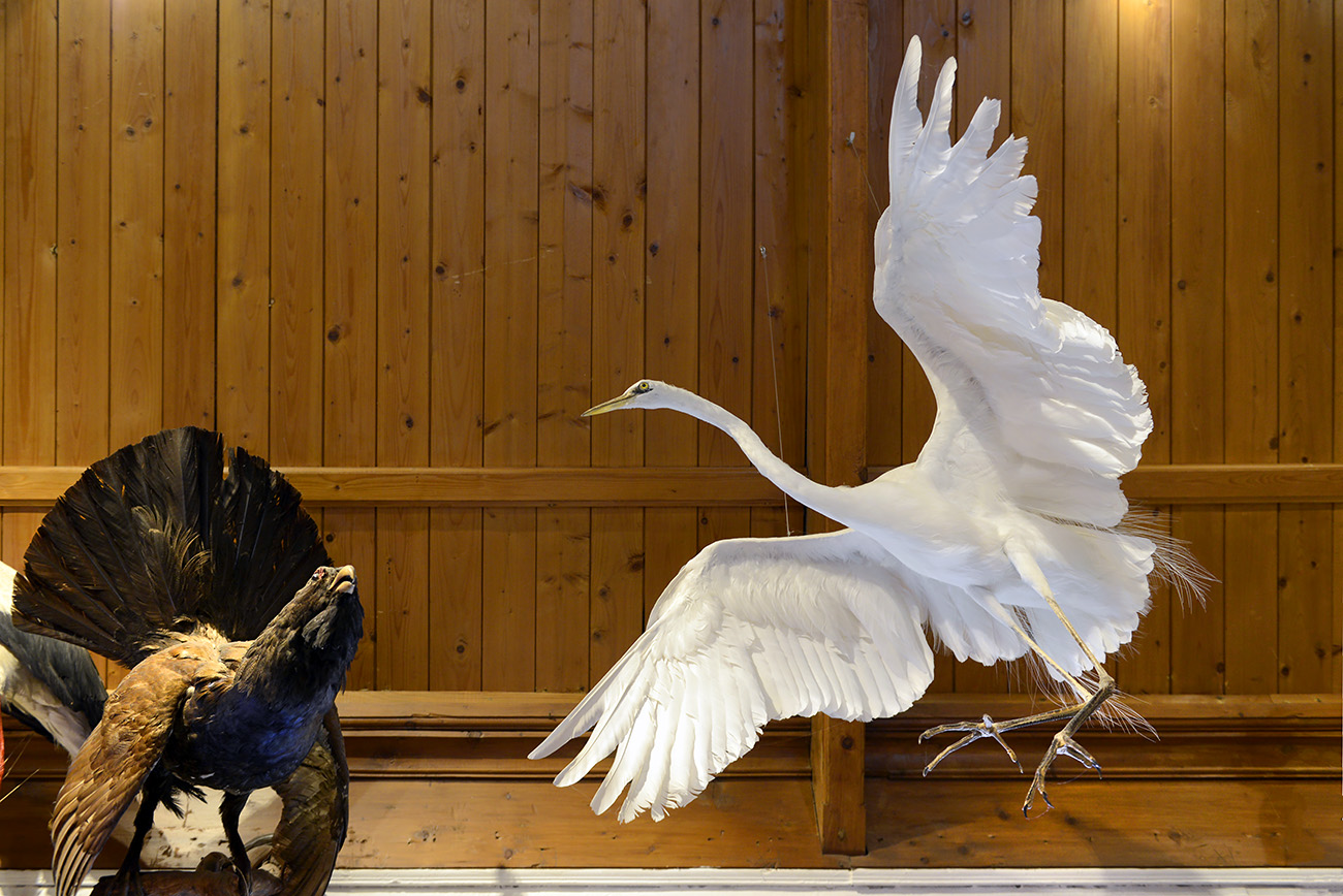 natura docet denekamp 4-2022 2278