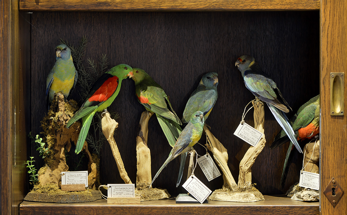 natura docet denekamp 6-2022 3385