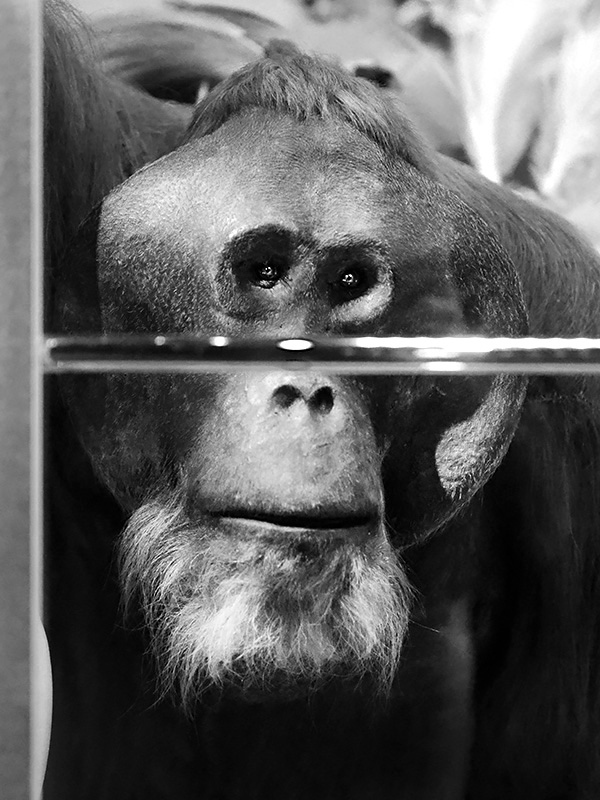 naturalis 9-2021 9625