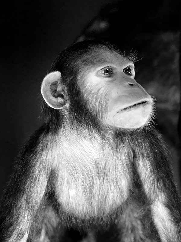 naturalis 9-2021 9810