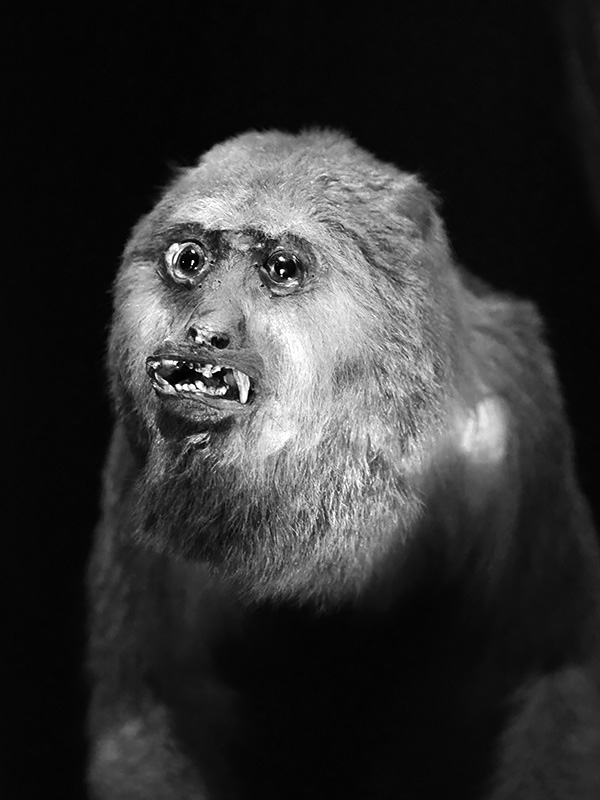 naturalis 9-2021 9829