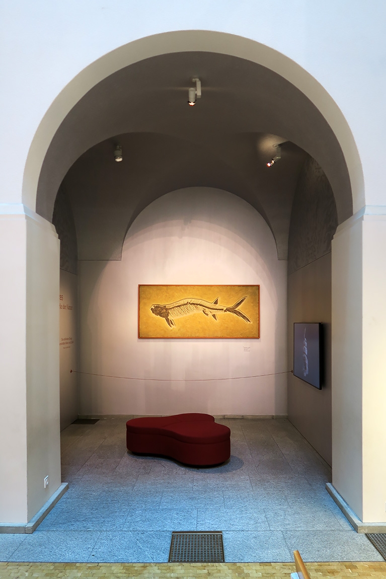 naturhistorisches museum der universitat zurich 8-2024 0919