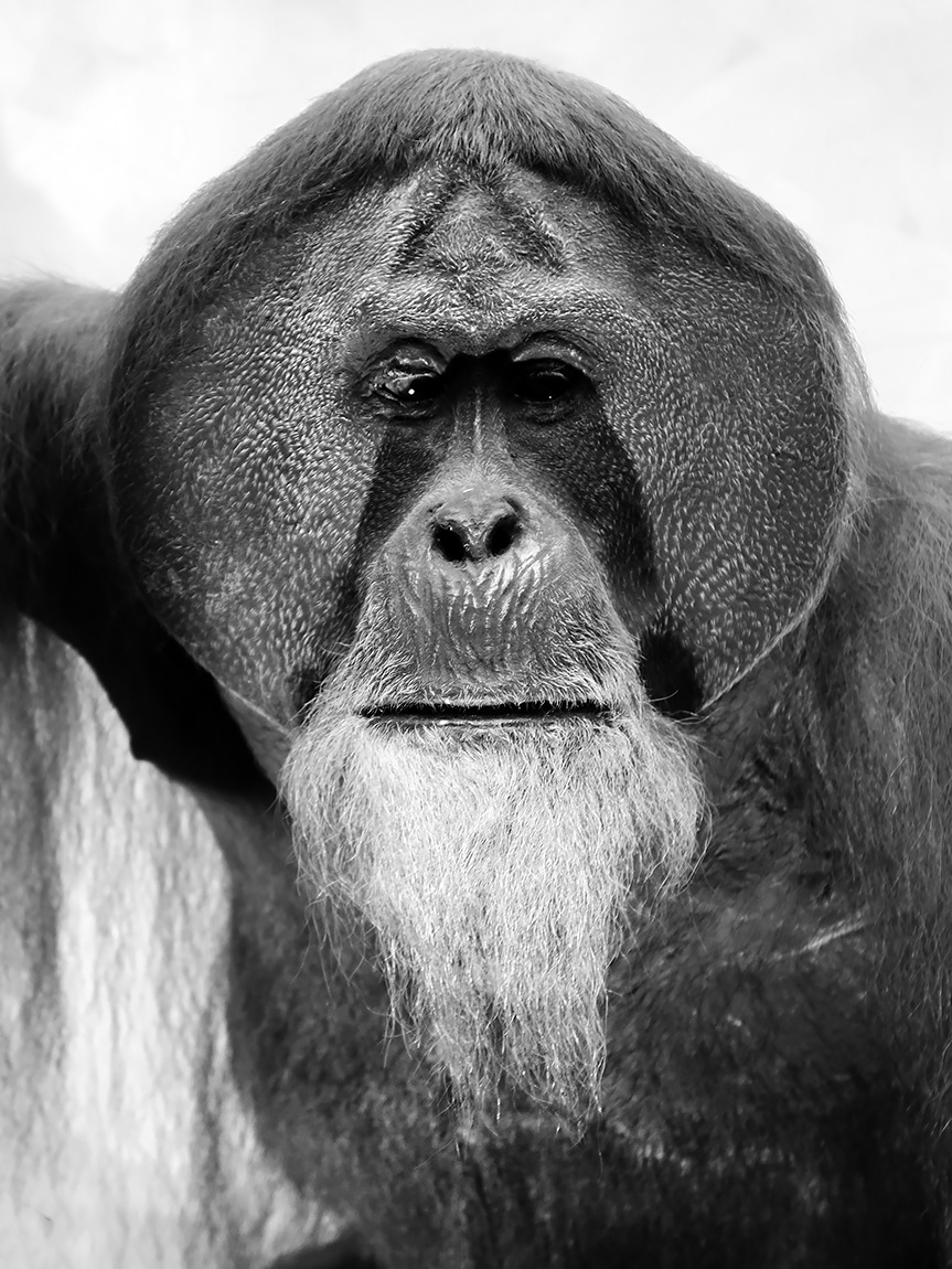 naturhistorisches museum der universitat zurich 8-2024 0974-