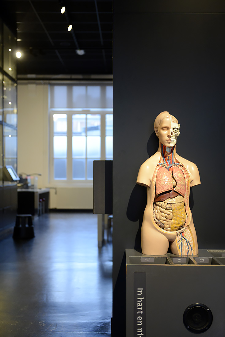 natuurmuseum brabant tilburg 1-2023 6049