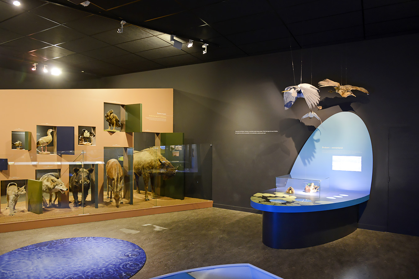 natuurmuseum brabant tilburg 1-2023 6101