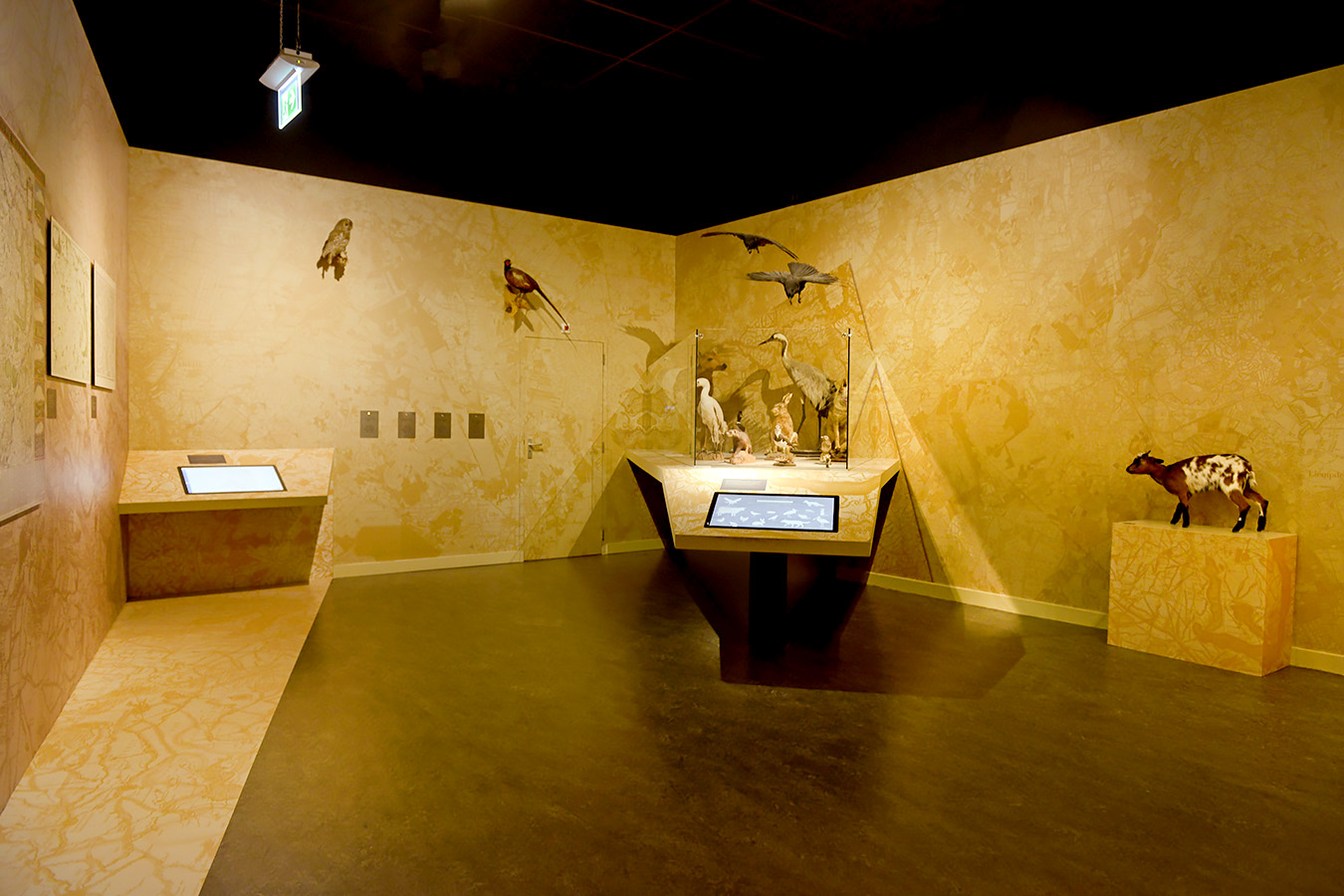 natuurmuseum brabant tilburg 1-2023 6106